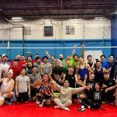 FLV (For the Love of Volleyball)