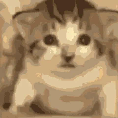 East Contra Costa Volleyball (ECCV)