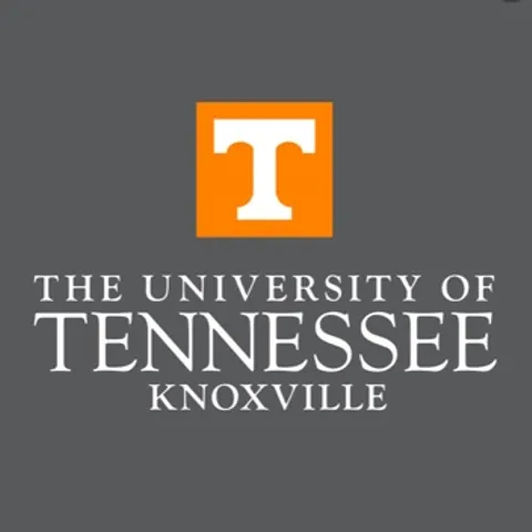 UTK Volleyball