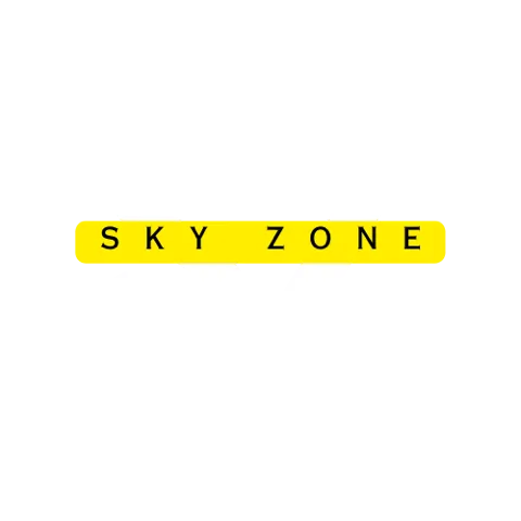 Sky Zone
