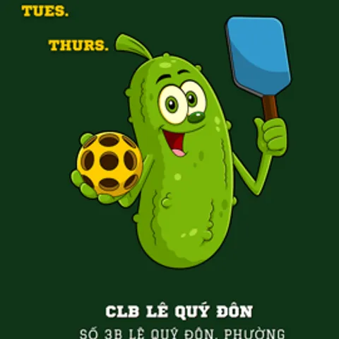 SWAGGY Pickleball team