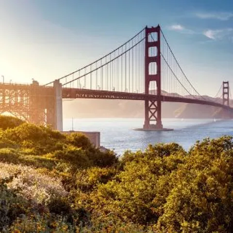 San Francisco Women's Volleyball