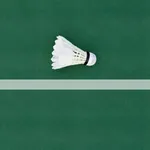 291 BADMINTON