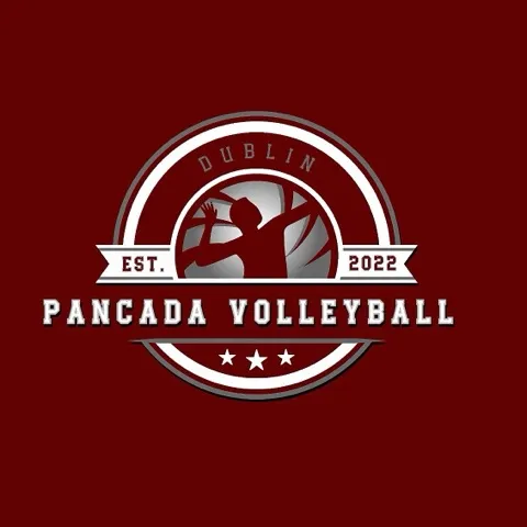 Pancada Vly Club Dublin - Beginner/ Intermediate