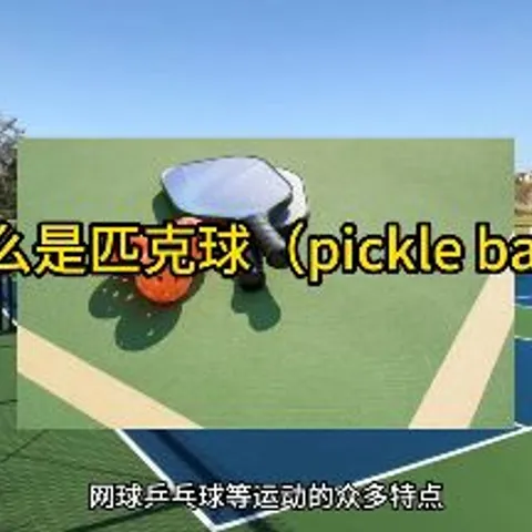 Dinking 101 Pickleball