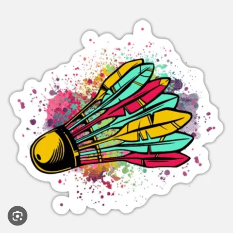 Dublin Cool Smashers Badminton Club