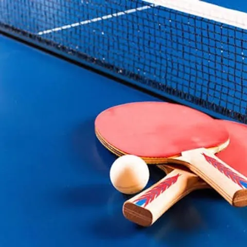 Rizal Table Tennis Enthusiasts