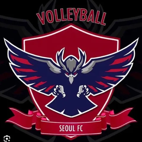 Seoul Team Volleyball Club