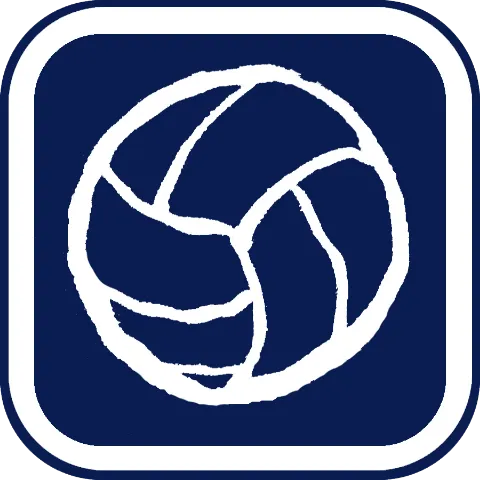 omoroi life volleyball