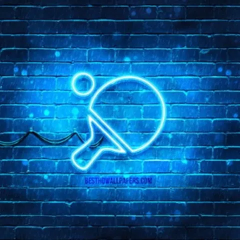 TT SengKang & Pasir Ris Sports Hall Group 