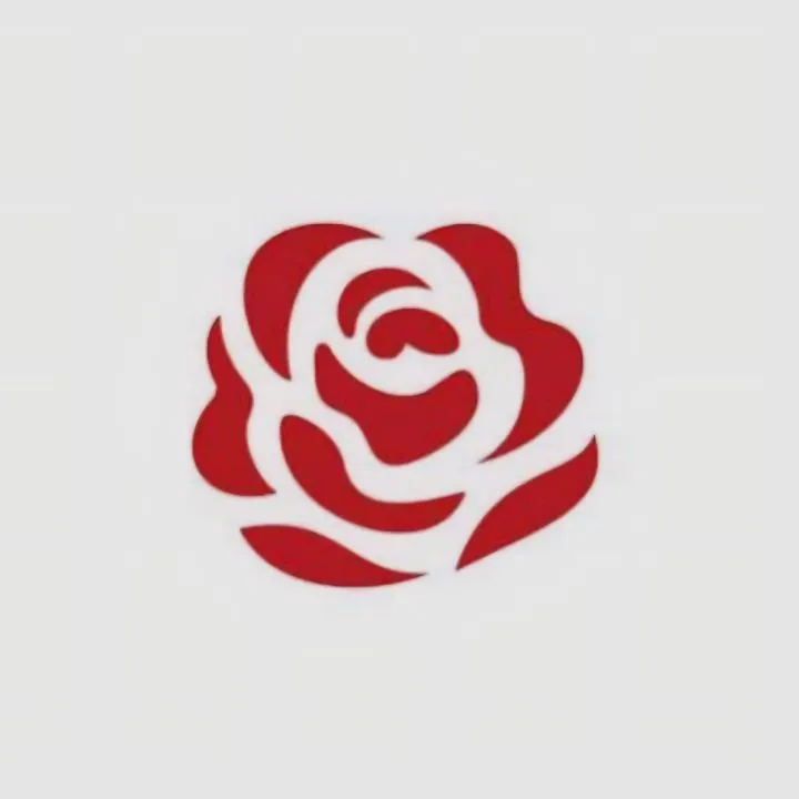 Rose Ann Brosoto