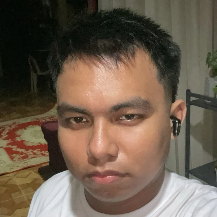 Vhince Ernest Duran avatar