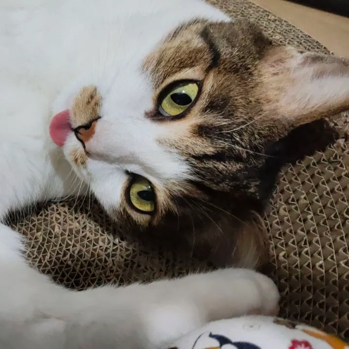 Winnie
