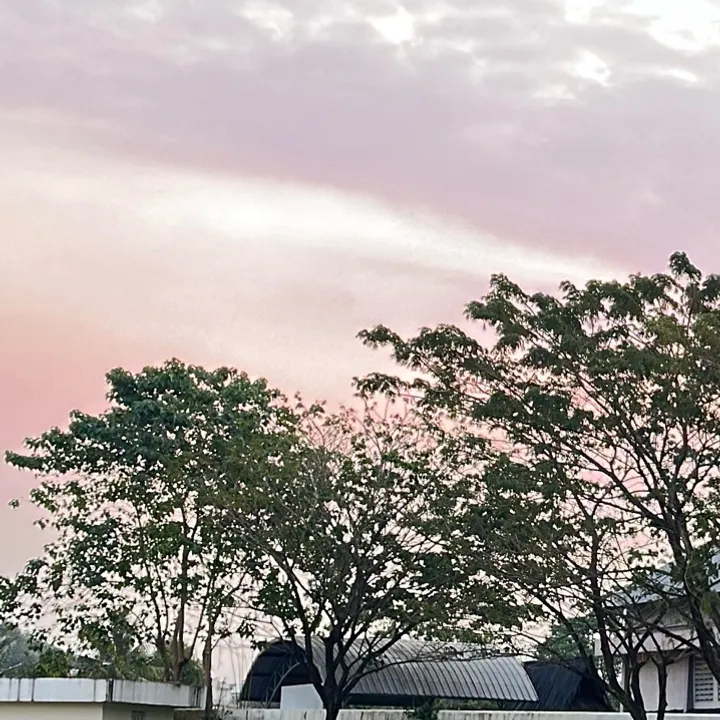 Nccimm