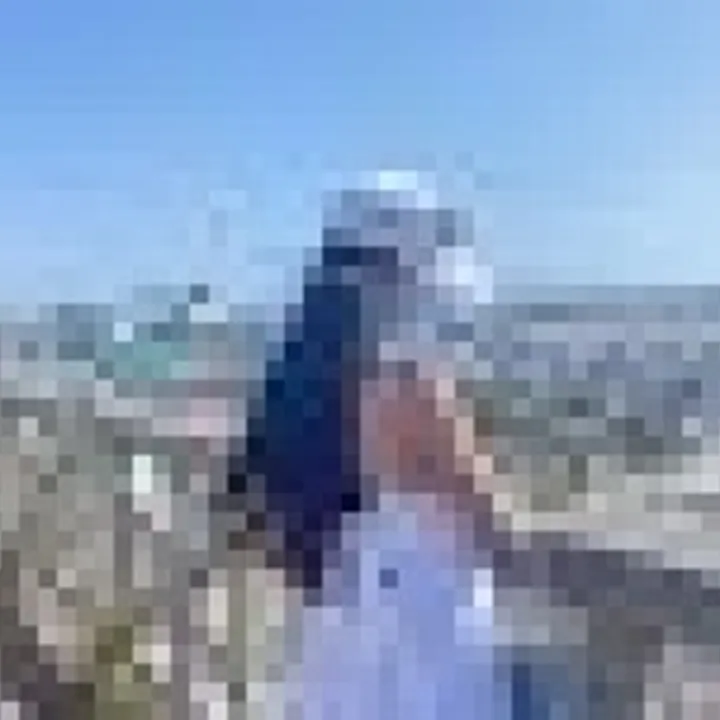 Lily avatar