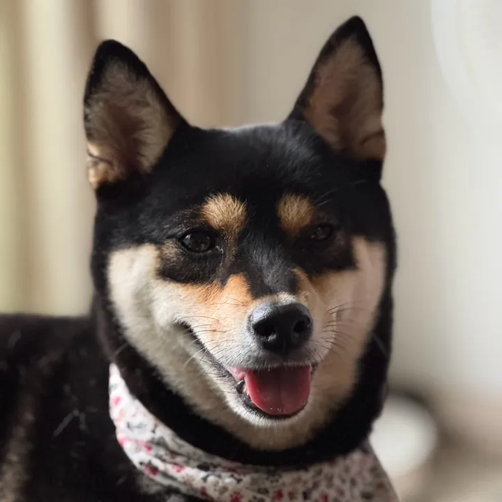 Sam