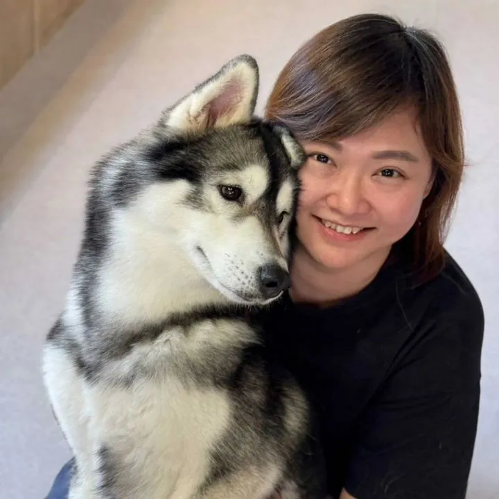 Kamy