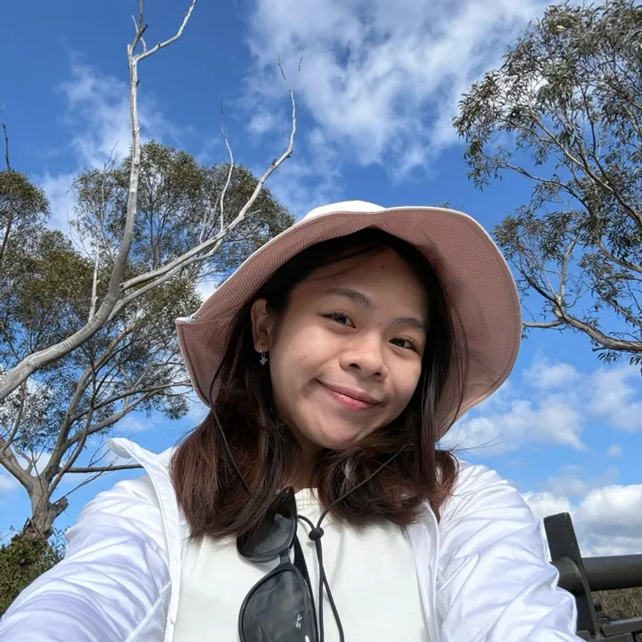 Wen jie