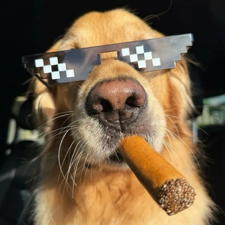 don