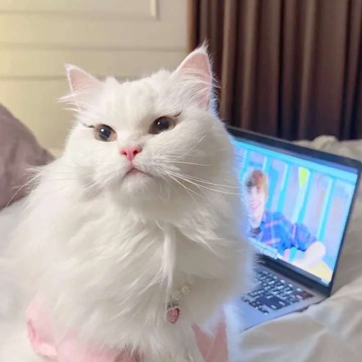 Aya Anisa Dwinidasari