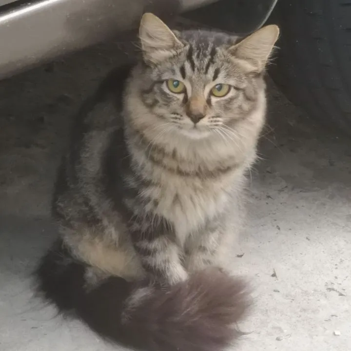 Suzie