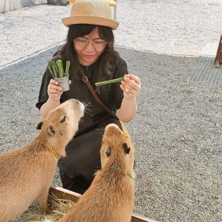Aira