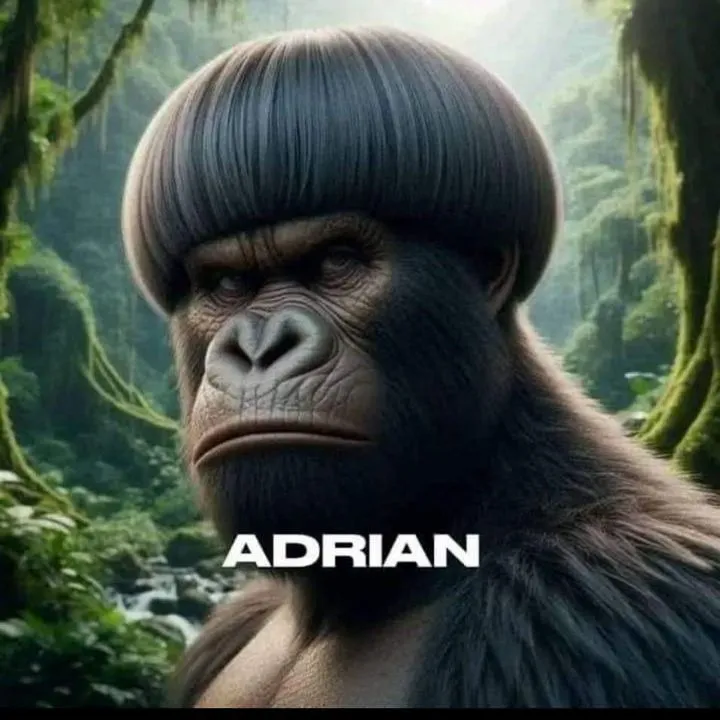 Adrian avatar