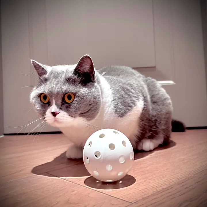 Alvin