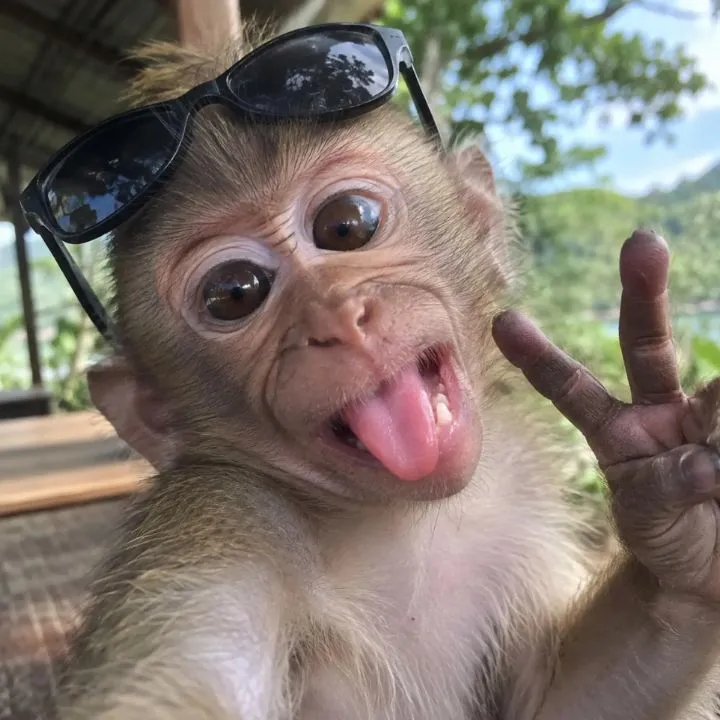 KHAO