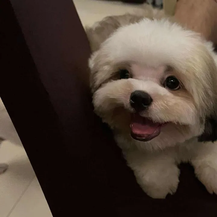 Zion Galang