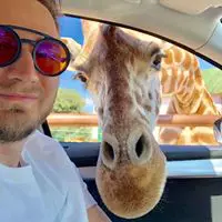 Юрий Крылов avatar