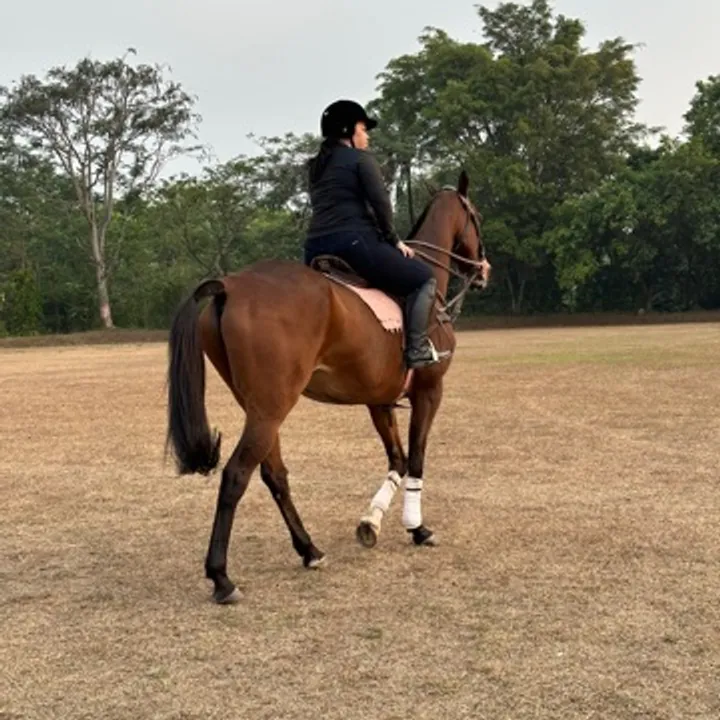 Sarah Nasution avatar