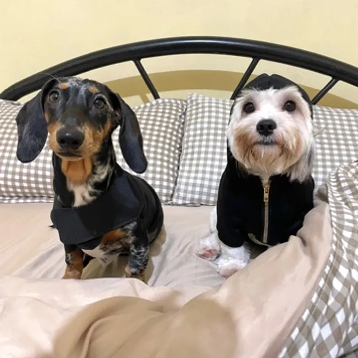 Niña Legaspi avatar