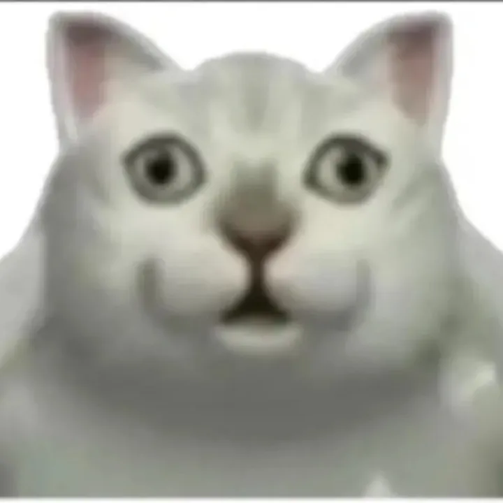 P0J4