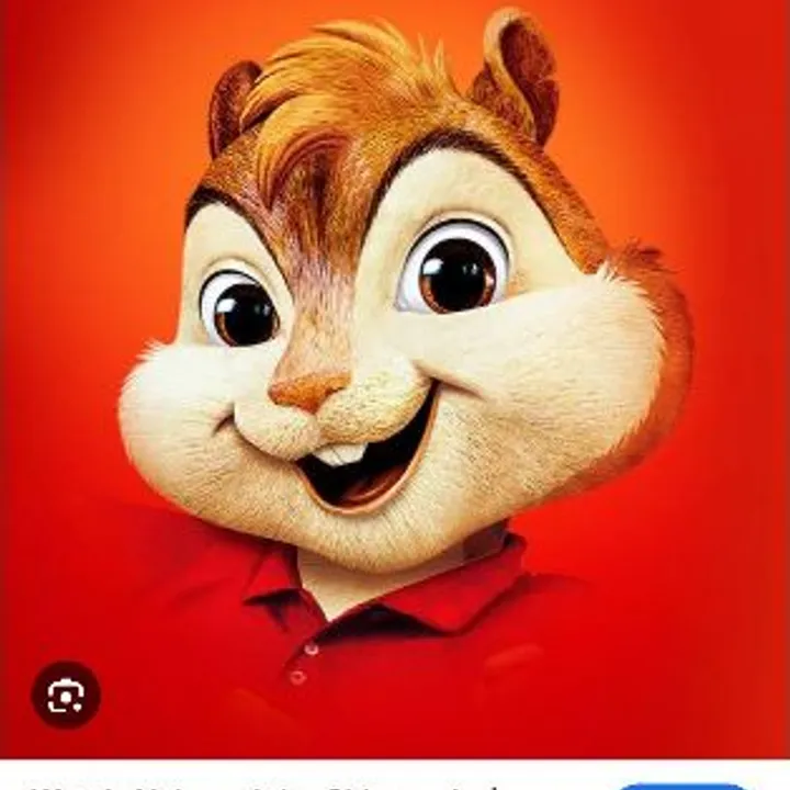 Alvin Pok Pok