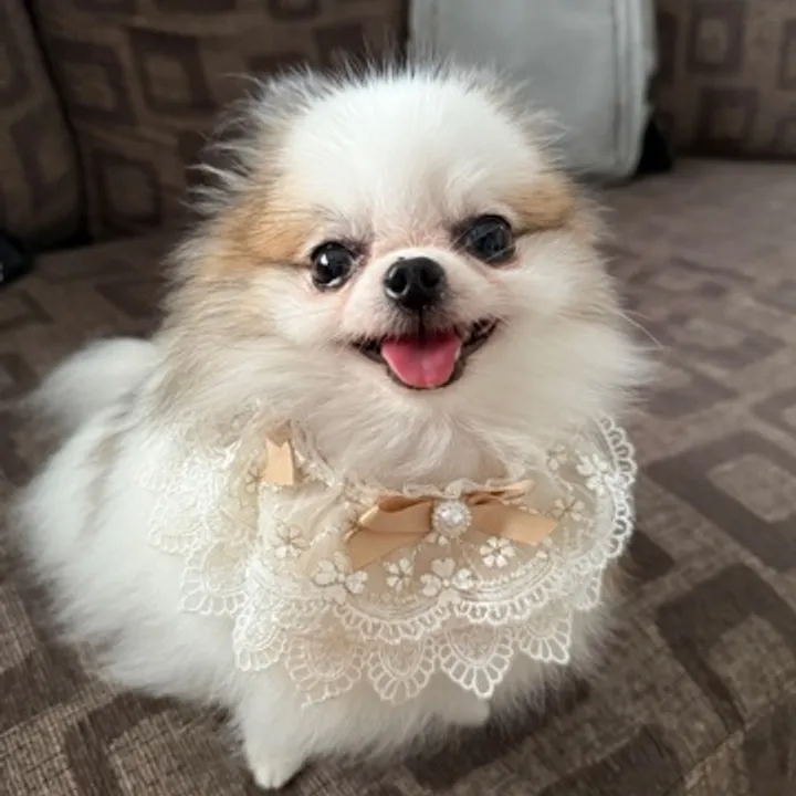 karmen avatar