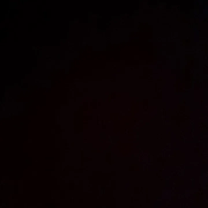 Felix